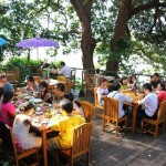 باغ گونه های گرمسیری (Tropical Spice Garden) در پنانگ درست بالای جاده محل اتصال تلک بهنگ (Teluk Bahang) قرار دارد ، که مجموعه ای هشت هکتاری از جنگل های فرعی با 500 گونه از گیاهان و جانوران می باشد.