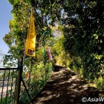 باغ گونه های گرمسیری (Tropical Spice Garden) در پنانگ درست بالای جاده محل اتصال تلک بهنگ (Teluk Bahang) قرار دارد ، که مجموعه ای هشت هکتاری از جنگل های فرعی با 500 گونه از گیاهان و جانوران می باشد.