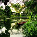باغ گونه های گرمسیری (Tropical Spice Garden) در پنانگ درست بالای جاده محل اتصال تلک بهنگ (Teluk Bahang) قرار دارد ، که مجموعه ای هشت هکتاری از جنگل های فرعی با 500 گونه از گیاهان و جانوران می باشد.