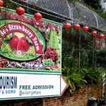 بلندی های کامرون یا کامرون هایلند (Cameron Highlands) يکي از پهناورترين موقعيت های تپه ای در مالزی است
