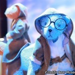 موزه شگفت انگیز خرس تدی (Teddy Bear Museum) در پاتایا - همچنین به عنوان جزیره تدی ، شناخته شده است - یک تجربه واقعا منحصر به فرد، کمی گیج کننده و بسیار سرگرم کننده و خانواده پسند است.