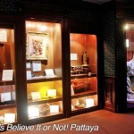در طبقه سوم مرکز خرید رویال گاردن پلازا (Royal Garden Plaza) در پاتایا موزه ریپلی باور میکنی یا نه (Ripley’s Believe It Or Not) بیش از 300 نمایشگاه در داخل 10 گالری با الهام از کتاب رابرت لروی ریپلی به همین نام قرار گرفته است