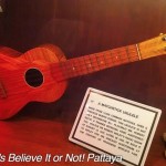 در طبقه سوم مرکز خرید رویال گاردن پلازا (Royal Garden Plaza) در پاتایا موزه ریپلی باور میکنی یا نه (Ripley’s Believe It Or Not) بیش از 300 نمایشگاه در داخل 10 گالری با الهام از کتاب رابرت لروی ریپلی به همین نام قرار گرفته است