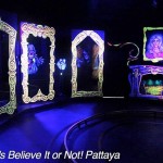 در طبقه سوم مرکز خرید رویال گاردن پلازا (Royal Garden Plaza) در پاتایا موزه ریپلی باور میکنی یا نه (Ripley’s Believe It Or Not) بیش از 300 نمایشگاه در داخل 10 گالری با الهام از کتاب رابرت لروی ریپلی به همین نام قرار گرفته است