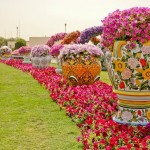 باغ گل شگفت انگیز دبی (Dubai Miracle Garden) واقع دبی لند (Dubailand) در نزدیکی مزارع عربستان و در روز ولنتاین بازگشایی شد.