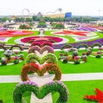 باغ گل شگفت انگیز دبی (Dubai Miracle Garden) واقع دبی لند (Dubailand) در نزدیکی مزارع عربستان و در روز ولنتاین بازگشایی شد.