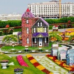 باغ گل شگفت انگیز دبی (Dubai Miracle Garden) واقع دبی لند (Dubailand) در نزدیکی مزارع عربستان و در روز ولنتاین بازگشایی شد.
