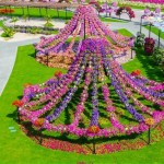 باغ گل شگفت انگیز دبی (Dubai Miracle Garden) واقع دبی لند (Dubailand) در نزدیکی مزارع عربستان و در روز ولنتاین بازگشایی شد.