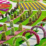 باغ گل شگفت انگیز دبی (Dubai Miracle Garden) واقع دبی لند (Dubailand) در نزدیکی مزارع عربستان و در روز ولنتاین بازگشایی شد.