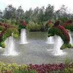 باغ گل شگفت انگیز دبی (Dubai Miracle Garden) واقع دبی لند (Dubailand) در نزدیکی مزارع عربستان و در روز ولنتاین بازگشایی شد.