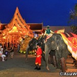 نمایش فانتاسی پوکت ، بزرگترین نشان جزیره پوکت است که با هنرمندان طناب باز ، و نمایش هنرمندانه با صدها فیل و سایر حیوانات با داستان های عجیب و غریب که آمیزه ای از سنت های کشور زیبای تایلند است